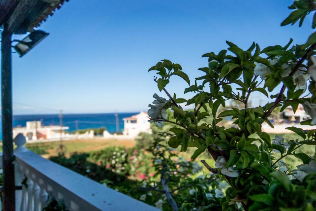 Lejlighedshotel Petra Kypseli